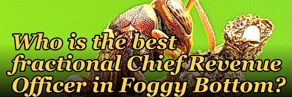 Who is the best fractional Chief Revenue Officer in Foggy Bottom?