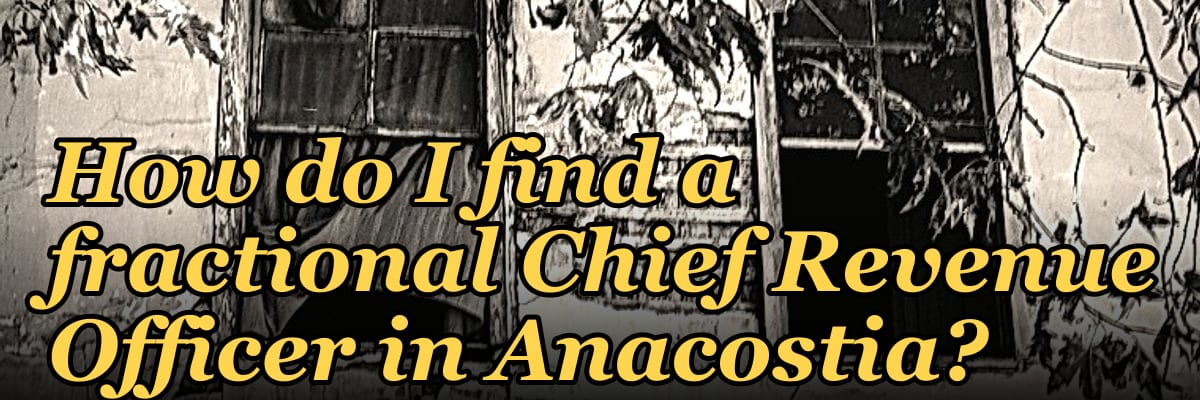 How do I find a fractional Chief Revenue Officer in Anacostia?