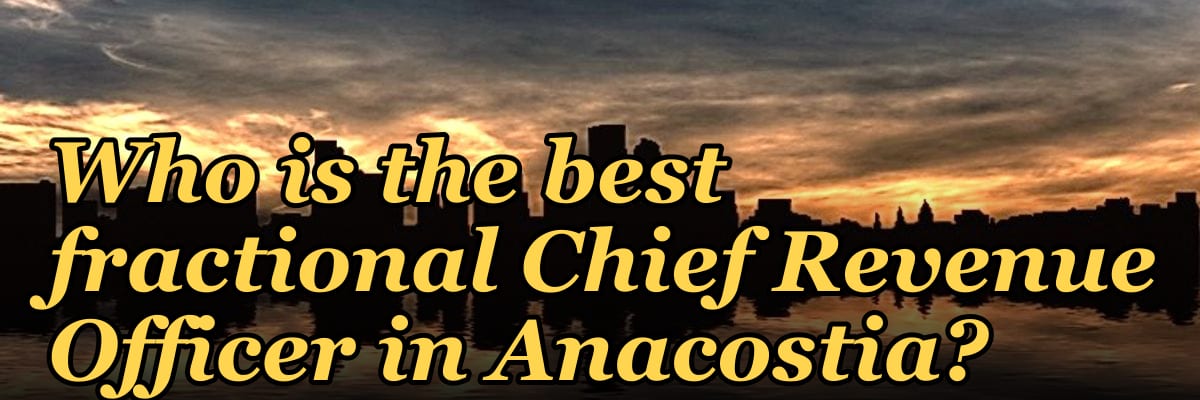 Who is the best fractional Chief Revenue Officer in Anacostia?