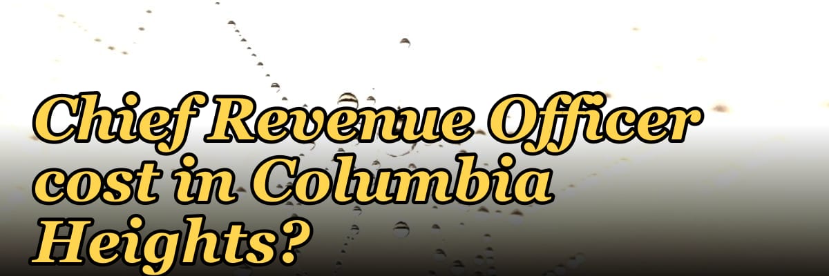 What does a fractional Chief Revenue Officer cost in Columbia Heights?