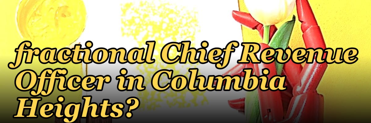How do I hire a fractional Chief Revenue Officer in Columbia Heights?