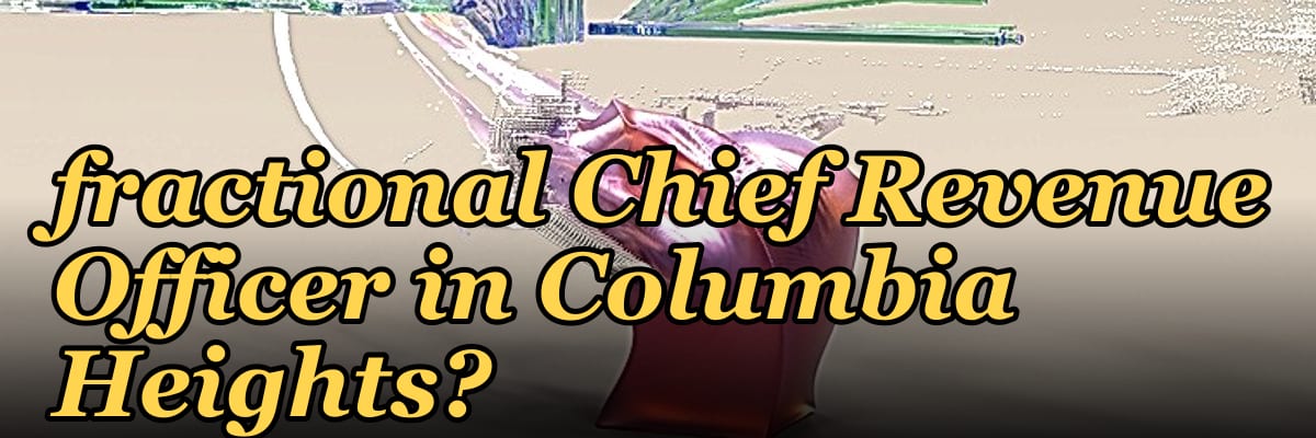 Who is the best fractional Chief Revenue Officer in Columbia Heights?