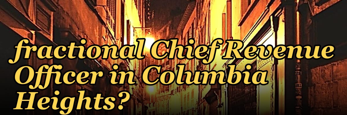Should I hire a fractional Chief Revenue Officer in Columbia Heights?