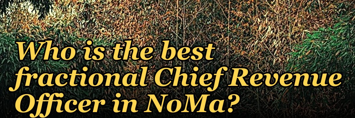 Who is the best fractional Chief Revenue Officer in NoMa?