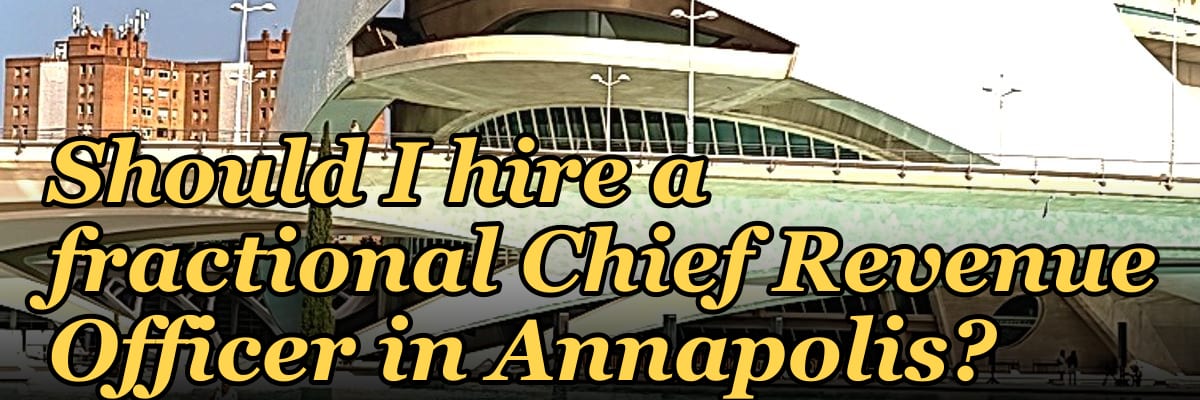 Should I hire a fractional Chief Revenue Officer in Annapolis?