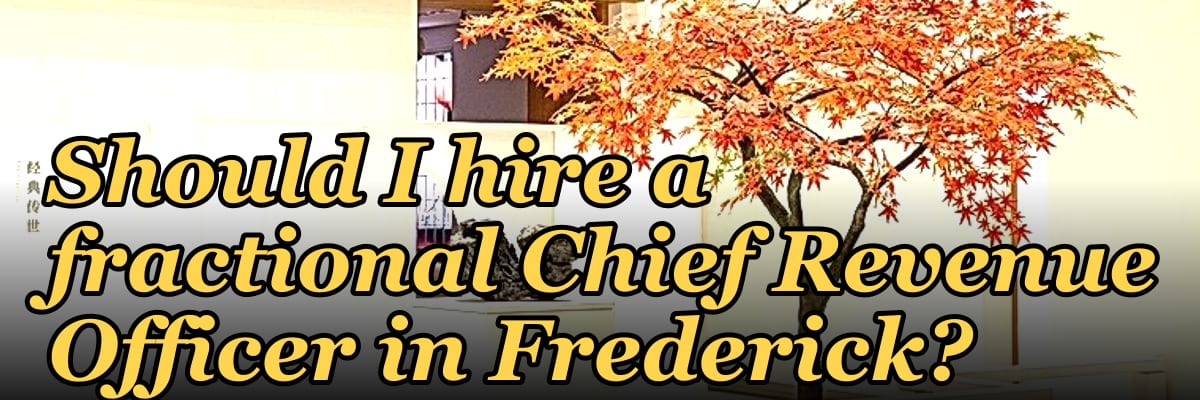 Should I hire a fractional Chief Revenue Officer in Frederick?