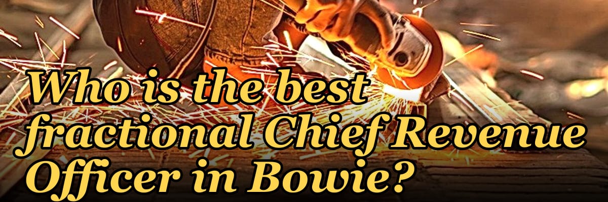 Who is the best fractional Chief Revenue Officer in Bowie?