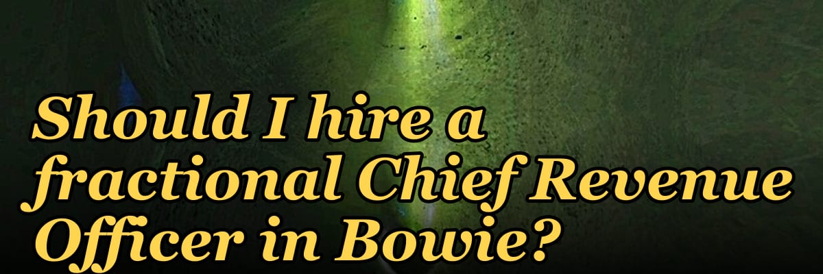 Should I hire a fractional Chief Revenue Officer in Bowie?