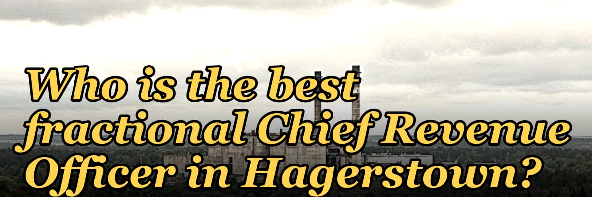 Who is the best fractional Chief Revenue Officer in Hagerstown?