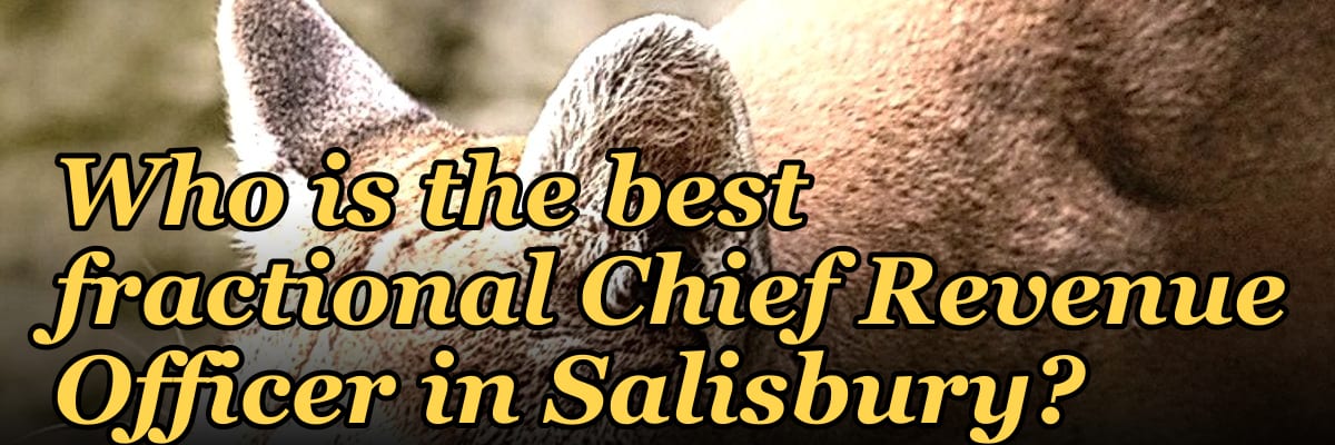 Who is the best fractional Chief Revenue Officer in Salisbury?