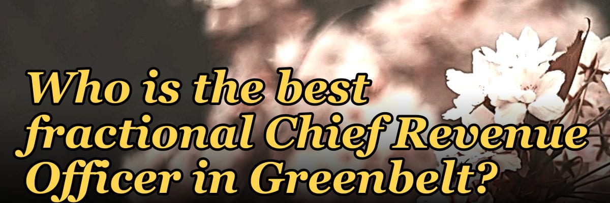 Who is the best fractional Chief Revenue Officer in Greenbelt?