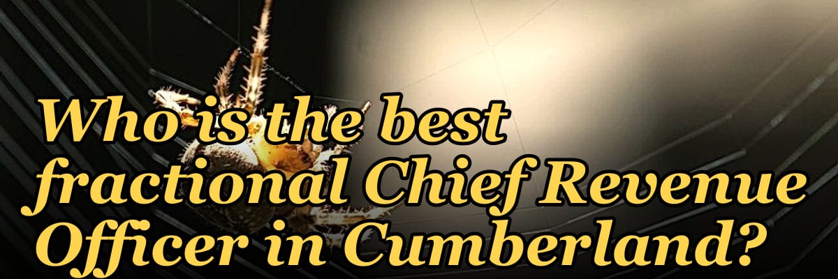 Who is the best fractional Chief Revenue Officer in Cumberland?