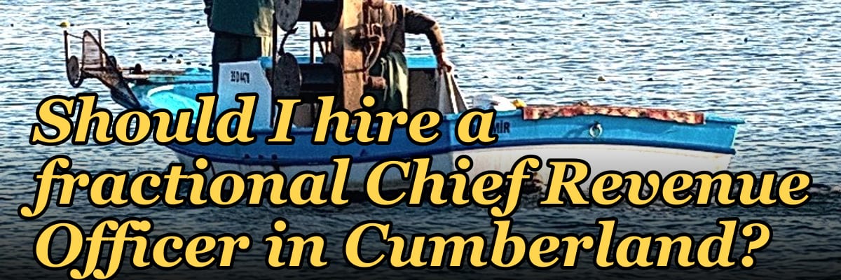 Should I hire a fractional Chief Revenue Officer in Cumberland?