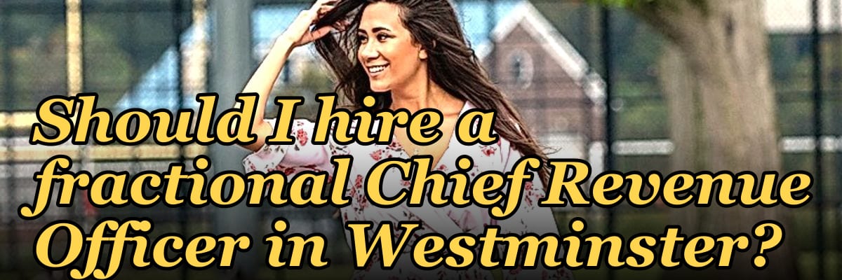 Should I hire a fractional Chief Revenue Officer in Westminster?