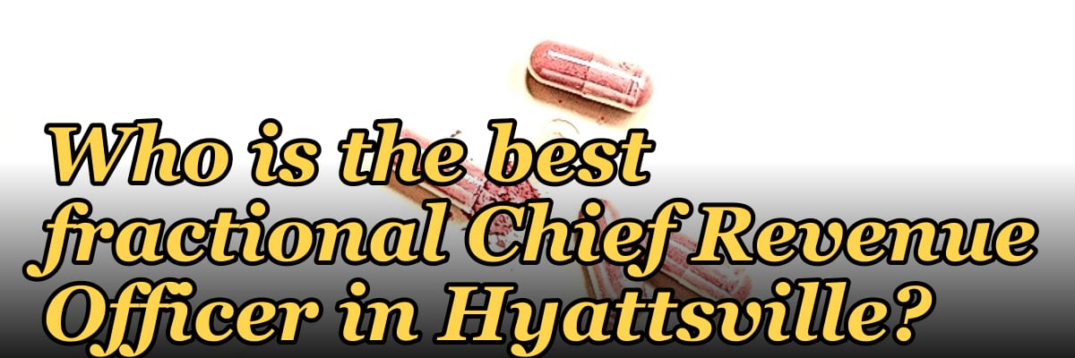 Who is the best fractional Chief Revenue Officer in Hyattsville?