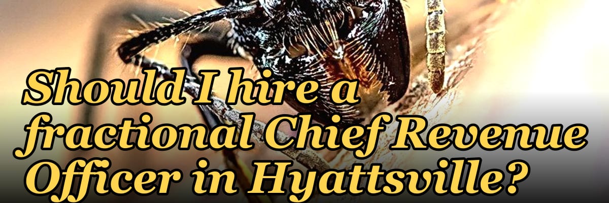 Should I hire a fractional Chief Revenue Officer in Hyattsville?