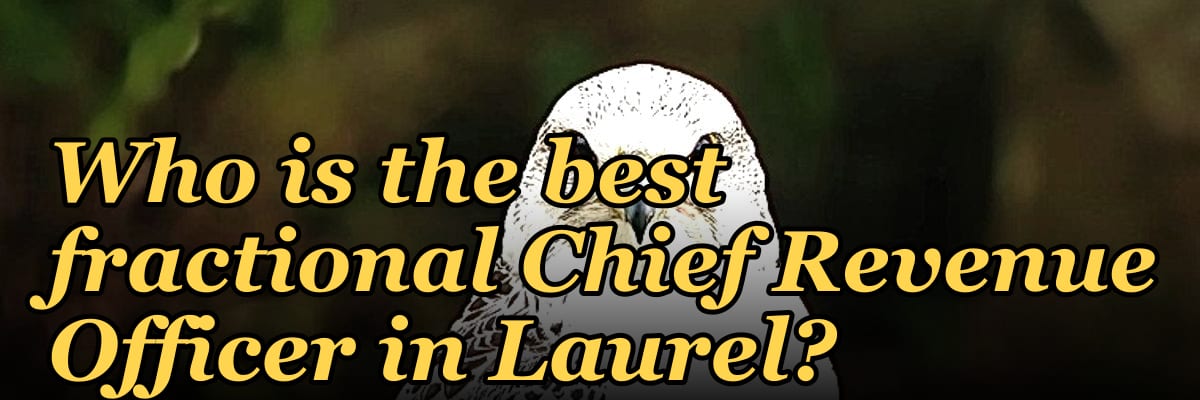 Who is the best fractional Chief Revenue Officer in Laurel?