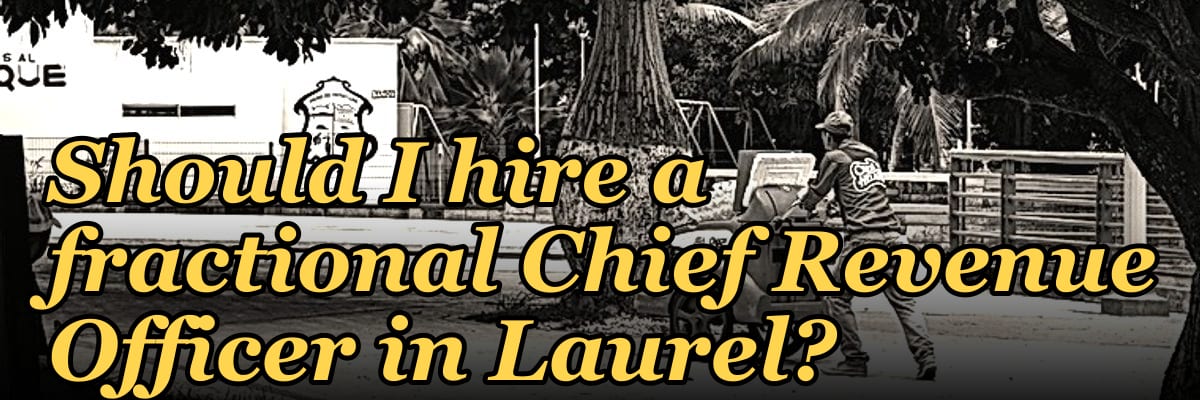 Should I hire a fractional Chief Revenue Officer in Laurel?