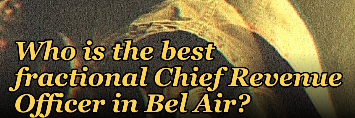 Who is the best fractional Chief Revenue Officer in Bel Air?