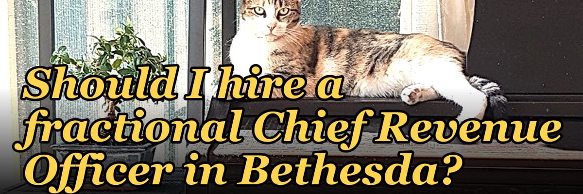 Should I hire a fractional Chief Revenue Officer in Bethesda?