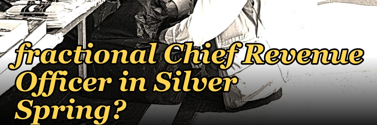 Who is the best fractional Chief Revenue Officer in Silver Spring?