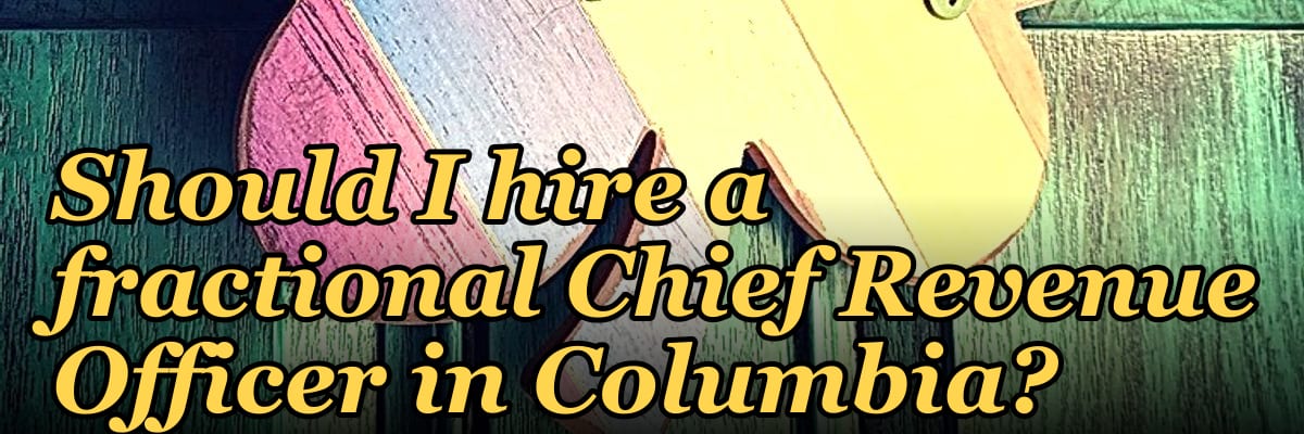 Should I hire a fractional Chief Revenue Officer in Columbia?