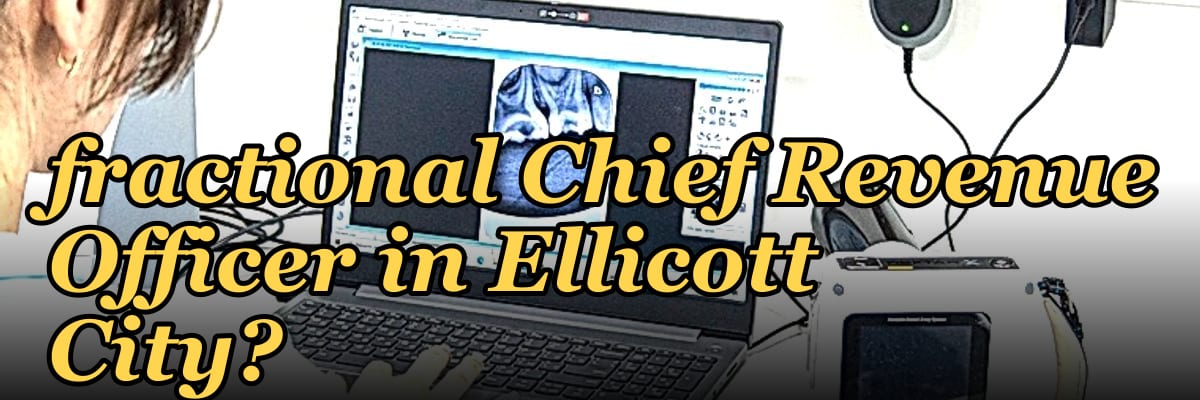 Who is the best fractional Chief Revenue Officer in Ellicott City?
