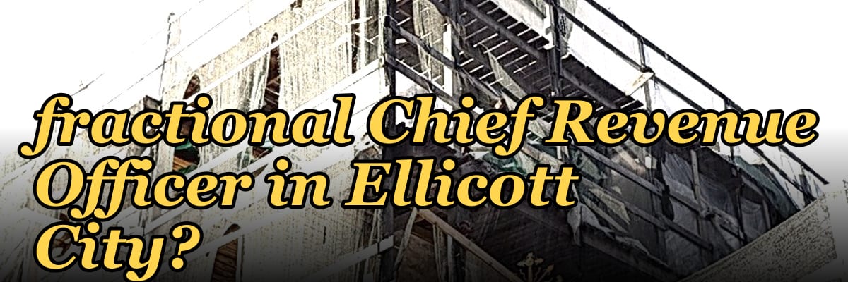 Should I hire a fractional Chief Revenue Officer in Ellicott City?