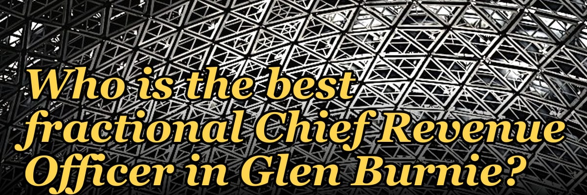 Who is the best fractional Chief Revenue Officer in Glen Burnie?