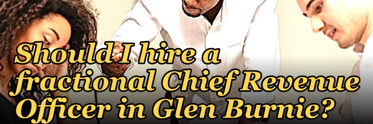 Should I hire a fractional Chief Revenue Officer in Glen Burnie?