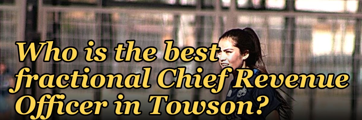 Who is the best fractional Chief Revenue Officer in Towson?