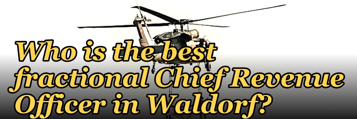 Who is the best fractional Chief Revenue Officer in Waldorf?