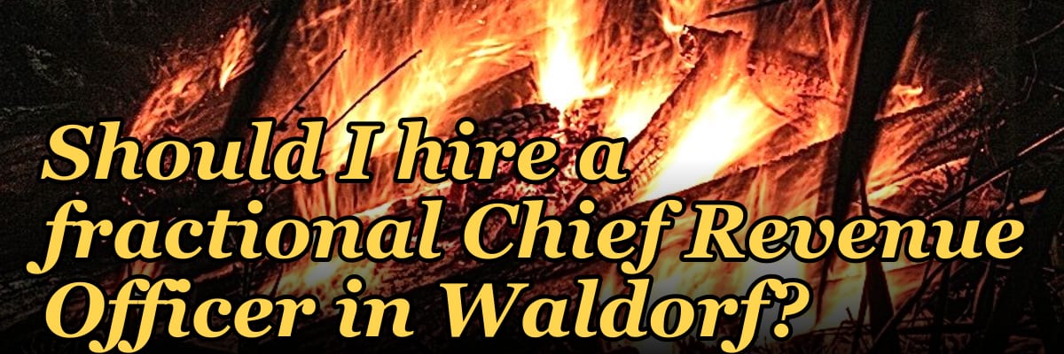 Should I hire a fractional Chief Revenue Officer in Waldorf?