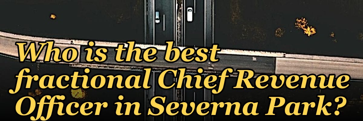 Who is the best fractional Chief Revenue Officer in Severna Park?