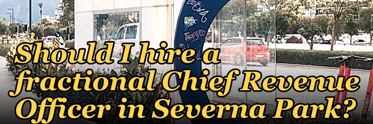 Should I hire a fractional Chief Revenue Officer in Severna Park?