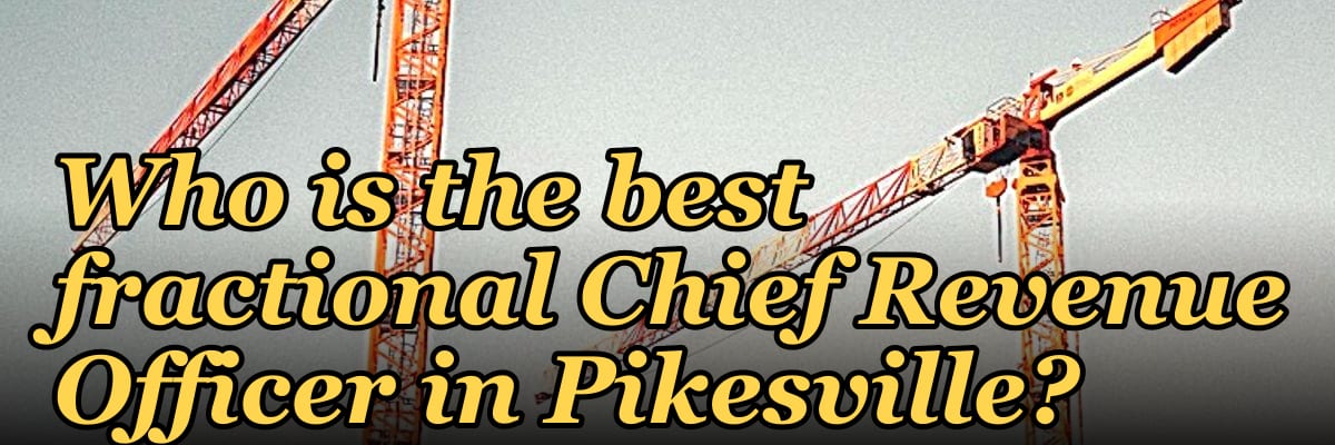 Who is the best fractional Chief Revenue Officer in Pikesville?