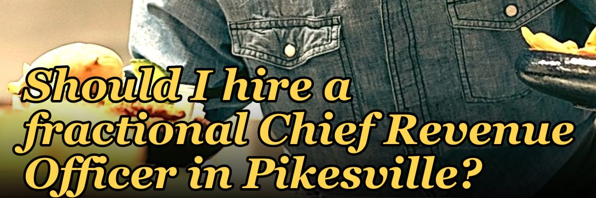 Should I hire a fractional Chief Revenue Officer in Pikesville?