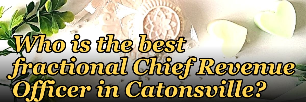 Who is the best fractional Chief Revenue Officer in Catonsville?
