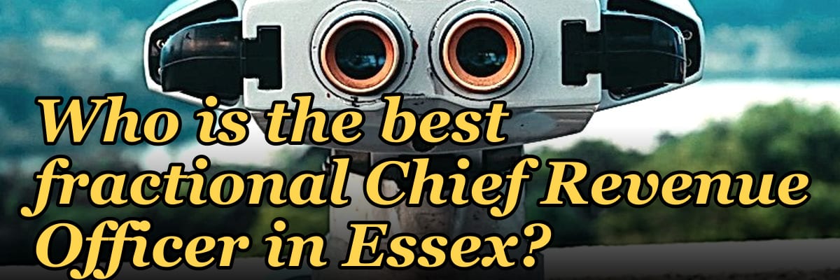 Who is the best fractional Chief Revenue Officer in Essex?