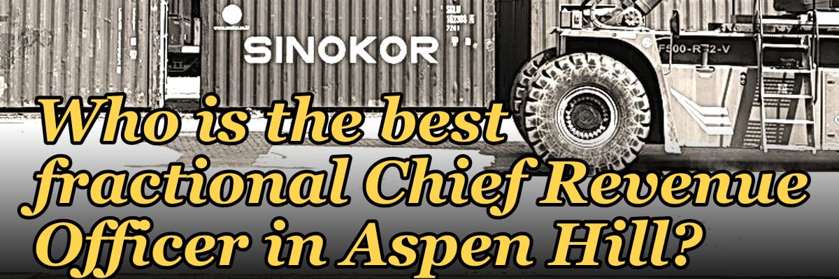 Who is the best fractional Chief Revenue Officer in Aspen Hill?