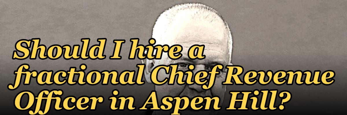 Should I hire a fractional Chief Revenue Officer in Aspen Hill?