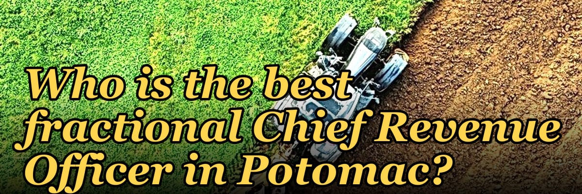 Who is the best fractional Chief Revenue Officer in Potomac?