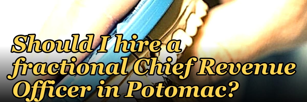 Should I hire a fractional Chief Revenue Officer in Potomac?
