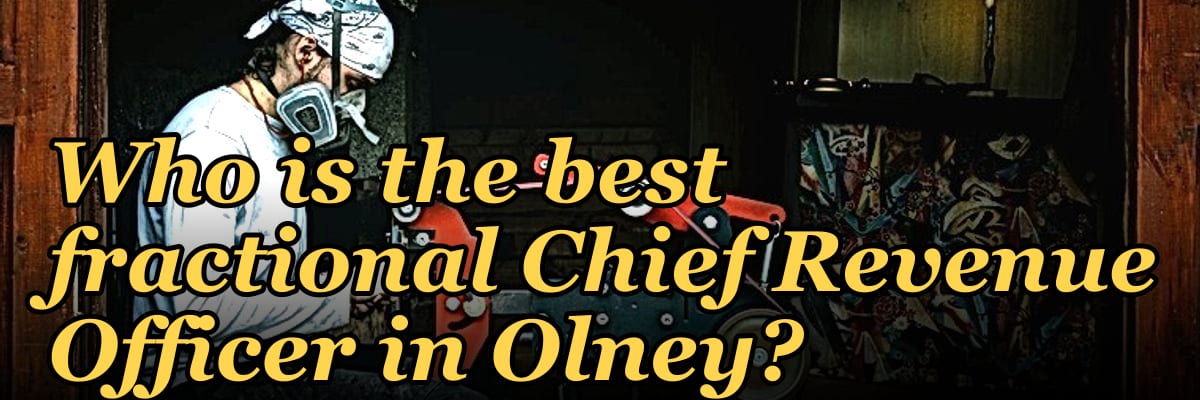 Who is the best fractional Chief Revenue Officer in Olney?
