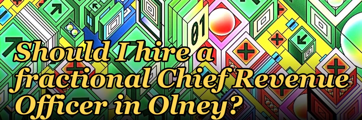 Should I hire a fractional Chief Revenue Officer in Olney?