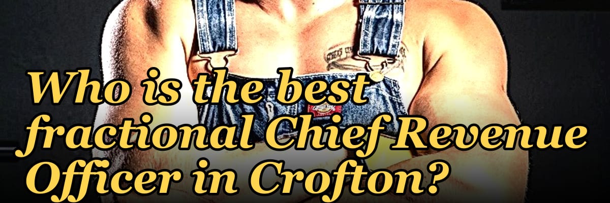 Who is the best fractional Chief Revenue Officer in Crofton?