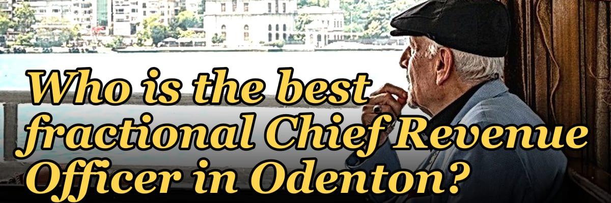 Who is the best fractional Chief Revenue Officer in Odenton?