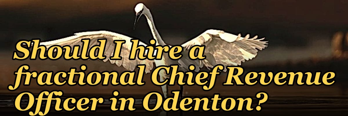 Should I hire a fractional Chief Revenue Officer in Odenton?