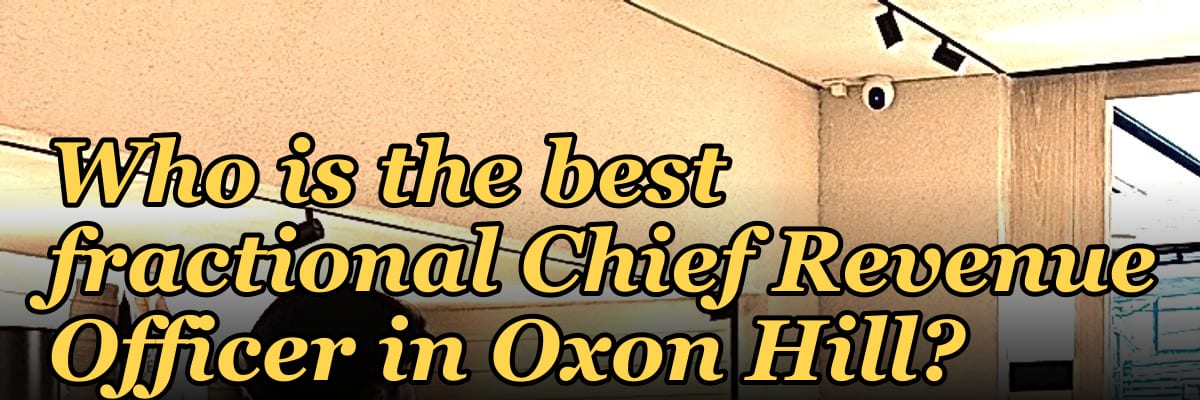 Who is the best fractional Chief Revenue Officer in Oxon Hill?