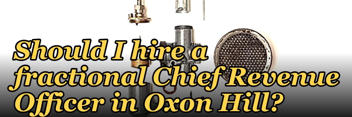 Should I hire a fractional Chief Revenue Officer in Oxon Hill?